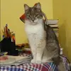 Отзыв от Роза Владимирова